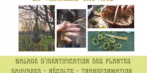 journ\u00e9e adulte- initiation \u00e0 la vannerie sauvage 26\/10\/25