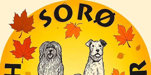 Sensommerst\u00e6vne i Sor\u00f8 2026