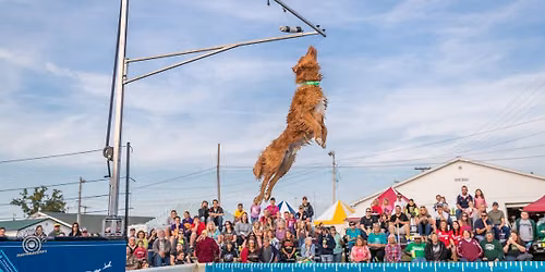 DockDogs\u00ae at the Big Sky Country State Fair