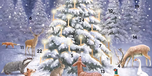 December Ric's Poetry Open Mic