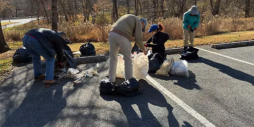 Anacostia Plogging Cleanup Series: Anacostia Park