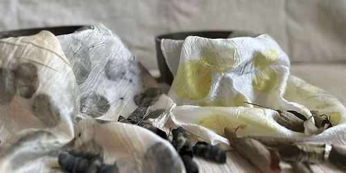 Nature\u2019s Color Alchemy: Botanical Dyeing on Silk