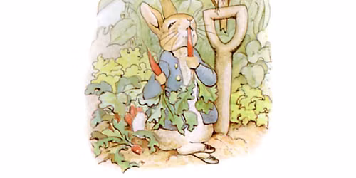 Into the Burrow: A Peter Rabbit Tale
