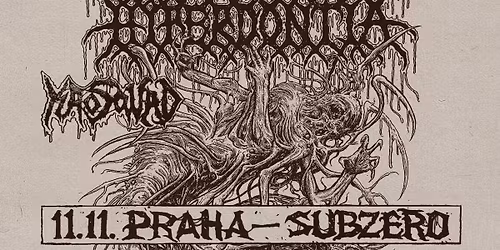 HYPERDONTIA, KAOSQUAD - Praha