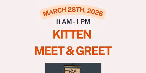 Kitten meet & greet at 3 Furry Tails Pet Mart, Waukee