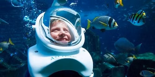Atlantis: Aquaventure Waterpark + Shark Safari or Snorkel Experience