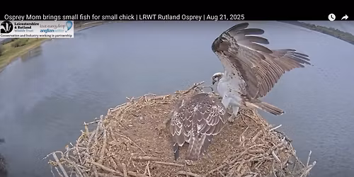 Osprey Thanksgiving Classic - Day 1