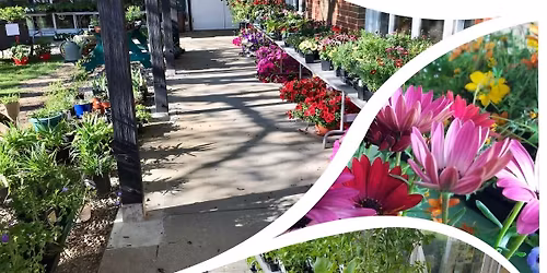 Plant & Yard Sale