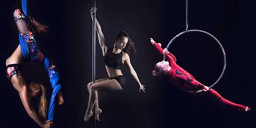 XI. H\u00e1zi bajnoks\u00e1g \u201cThe Best Show\u201d