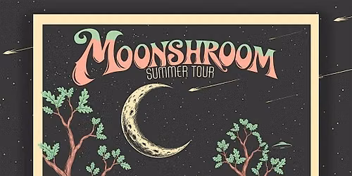 Moonshroom w\/ The Lowland Ramblers @ The Mousetrap - Saturday, July 18