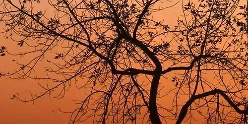 \u00d6ppenCirkel- mediautvecklingen. V\u00e4ck din intuitiva sida. Tema: \u00f6va \u00f6va \u00f6va 