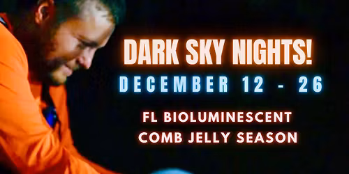 New Moon Week December 12-26