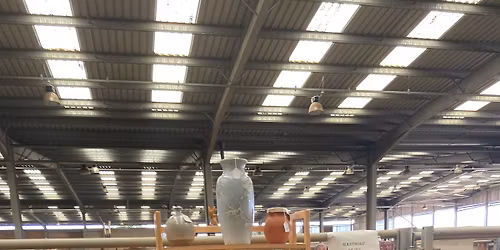 The Yorkshire Flea "Put it on the Ritz"