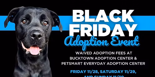 Black Friday: Waived Adoption Fees all Weekend Long!