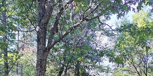 Fall Color ATV Route ride: Menomonie to Pepin
