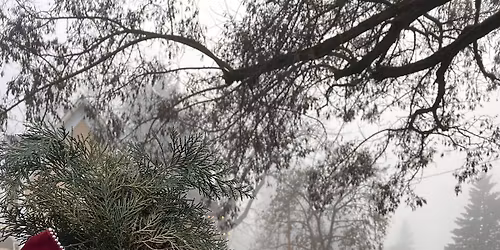 Jacksonville Evening Walk Part 4 of 6