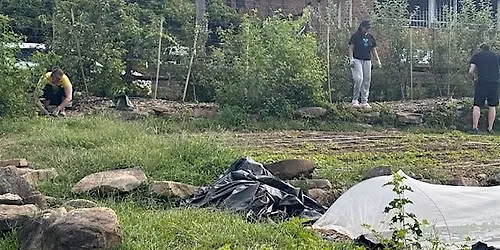 Braddock Monthly Volunteer Project (MVP)