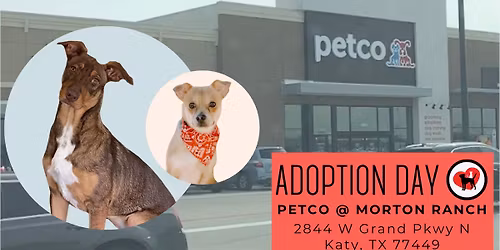 Adoption Day at Petco