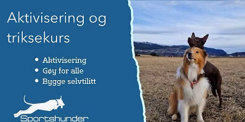 Aktivisering og triksekurs