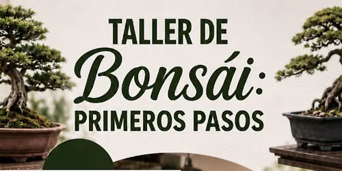 Taller de Bonsai - Primeros Pasos