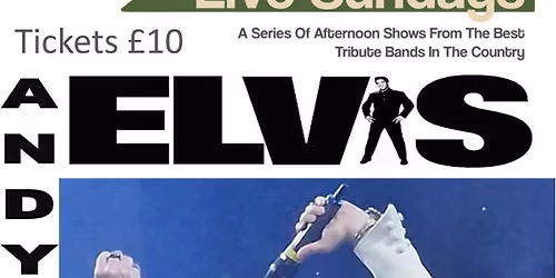 Andy James as Elvis