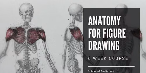Anatomy for Figure Drawing 6 Week Class