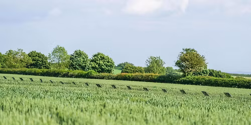 Bartholomews Chalton Open Day