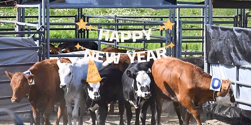 New Year's Day Ranch Sorting @ Heritage Farm