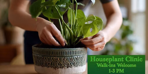 Houseplant Clinic