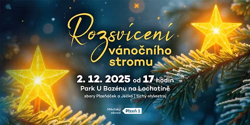 Rozsv\u00edcen\u00ed v\u00e1no\u010dn\u00edho stromu na Lochot\u00edn\u011b