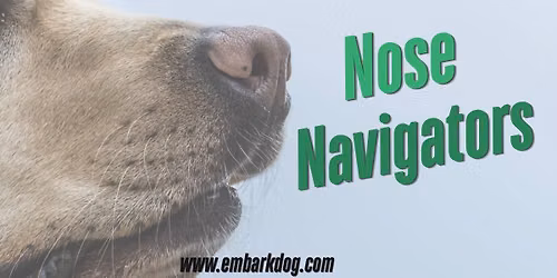 Nose Navigators - Intro to Scent Work 