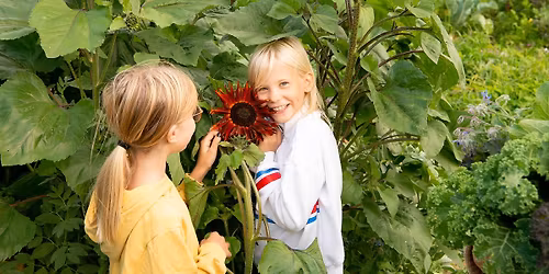 Dyrkeglede og beredskap i egen hage