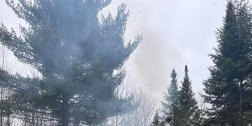 Intuitive Wellness Reiki Level l & ll