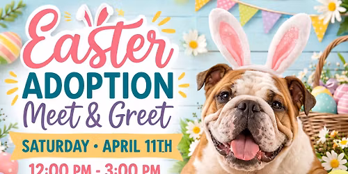 Easter Adoption Meet & Greet at A1 Pet Emporium