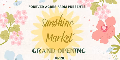 Sunshine Market\u2019s Grand Opening