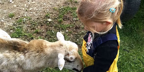 Wurzeln sp\u00fcren - ein Familiennachmittag am Hof mit Tieren und Kr\u00e4utern