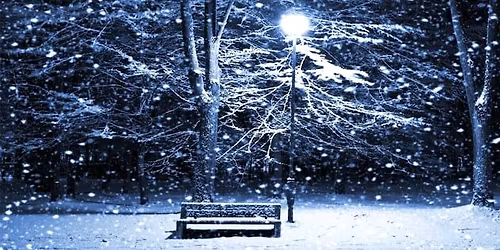 2025 FALLING SNOW