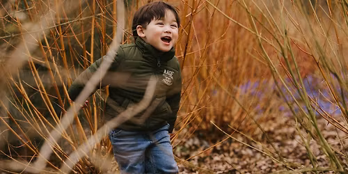 Welly Walk - Birds at RHS Rosemoor