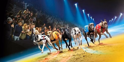 Stag Party Special @ Newcastle Greyhounds