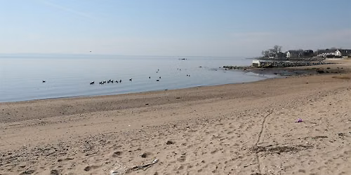 Crescent Beach Park Cleanup