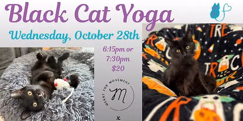 Black Cat Yoga with Cats!