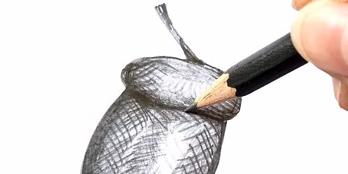 Introduction To Drawing