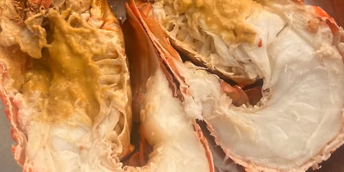 CHRISTMAS DAY PREORDERS HAMILTON