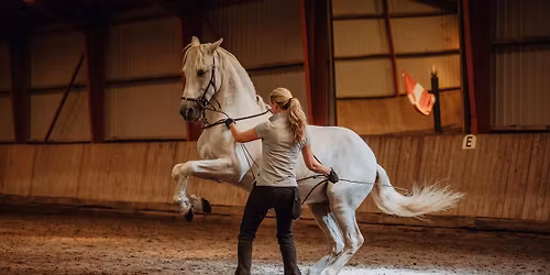Akademisk ridekunst med Michelle Wolf, Hamar