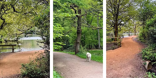 The Clearing: Forest Bath Day Out at Epping