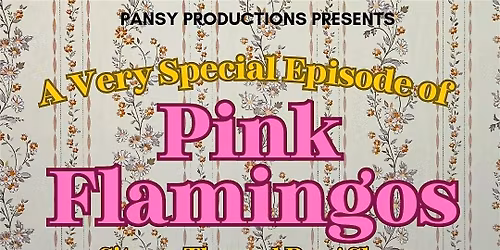 Pink Flamingo's Sitcom Drag Show