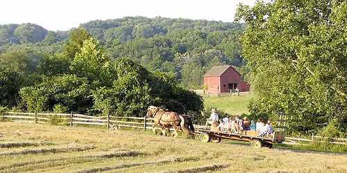 Haying & Wagon Rides