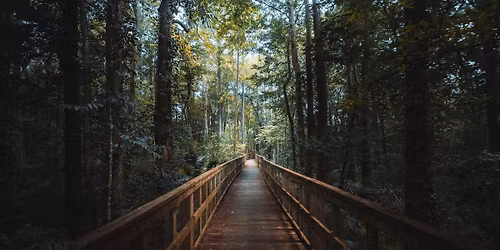 Looking For Home: One Woman\u2019s Quest to Find a \u201cSafe Place\u201d