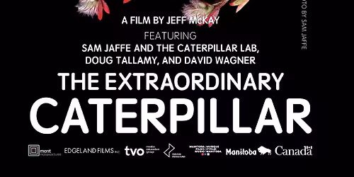 Screening of The Extraordinary Caterpillar