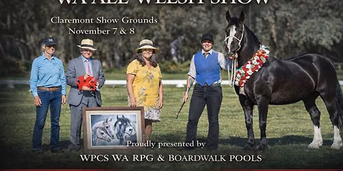 43rd WA All Welsh Show